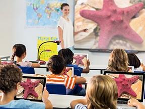 LUMENS DC193 Ladibug Document Camera (DC193)