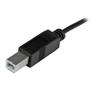STARTECH StarTech.com 1m USB 2.0 C to B Cable MM (USB2CB1M)