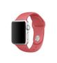 APPLE Apple 38mm Camellia Sport Band - S/M & M/L (MPUK2ZM/A)