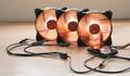 Cooler Master RGB Splitter-Kabel (R4-ACCY-RGBS-R2)