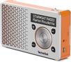 TECHNISAT DigitRadio 1 silver/ (0003/4997)