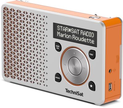 TECHNISAT DigitRadio 1 silver/ (0003/4997)