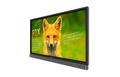 BENQ 65 IN INTERACTIVE FLAT PANEL  (9H.F3STK.RE1)