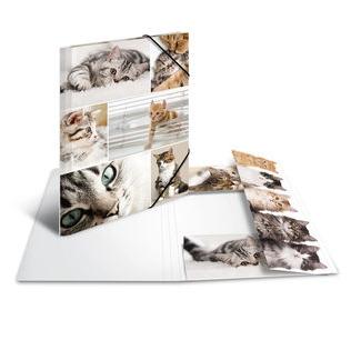 HERMA Sammelmappe A4 Katzen Pappe (19212)