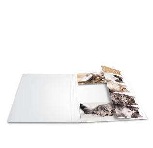 HERMA Sammelmappe A4 Katzen Pappe (19212)
