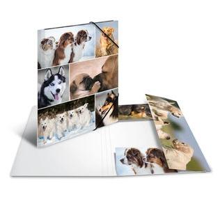 HERMA Sammelmappe A4 Hunde Pappe (19211)