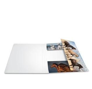 HERMA Sammelmappe A3 Pferde Pappe (19217)