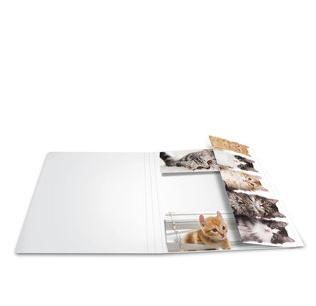 HERMA Sammelmappe A3 Katzen Pappe (19219)