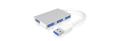 ICY BOX IB-Hub1402 USB 3.2 Gen 1 (3.1 
