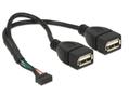 DELOCK USB 2.0 USB intern til ekstern kabel 20cm Sort