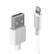 LINDY Adaptekabel USB -> Lightning 0,5 m USB til Apple Lightning