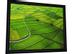 SCREENINT Modigliani 16:10 Fixed Screen SPECIAL OR