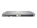 Hewlett Packard Enterprise VC SE 40GB F8 MODULE                                  IN CPNT (794502-B23)