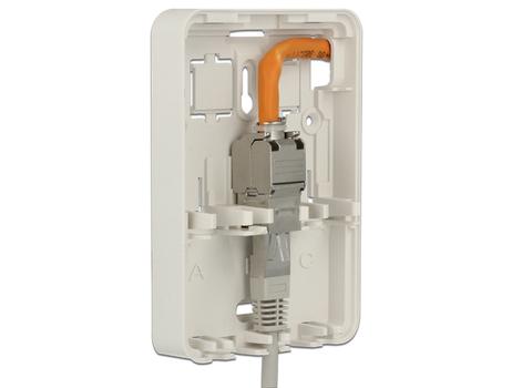 Delock Keystone Surface Mounted Box - modulært innføringshus (86262)