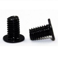 ACER SCREW.M2*4L.K.B-NI.NY (86.VDFN5.002)