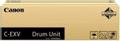 CANON "Drum C-EXV 51 (0488C002) VE 1 StÃ¼ck fÃ¼r C5500 Bestellartikel, NICHT stornierbar!"