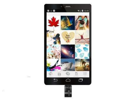 SILICON POWER Mobile C31 Usb Flash Drive 64 (SP064GBUC3C31V1K)