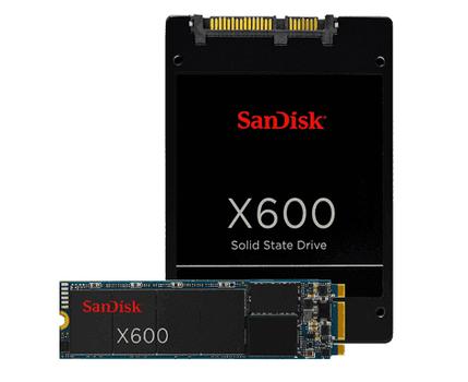 SANDISK X600 SSD 1TB M.2 2280 SATA (SD9SN8W-1T00-1122)