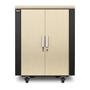 APC NETSHELTER CX 18U SECURE SOUNDP SERVER ROOM IN A BOX ENCLOSURE RACK (AR4018SP)