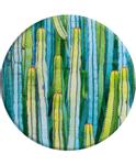 POPSOCKETS Cactus Patch Grip med Ställfunktion (101684)
