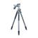 VANGUARD Alta Pro2+ 263AGH F-FEEDS