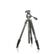 VANGUARD Alta Pro2 264AO F-FEEDS