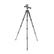 VANGUARD Alta Pro2 264AP F-FEEDS