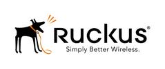 Ruckus Wireless Partner WatchDog Premium Support Renewal for ZoneDirector 3000 200 AP License Upgrade - 12 months