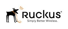 Ruckus Wireless EU Supp Renew FM 10000 1yr