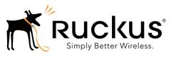 Ruckus Wireless End-User Support Renew C110 1y R