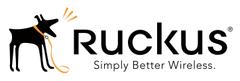 Ruckus Wireless Partner WatchDog Support Renewal - vSZD-RTU, no throughput cap 5 YR