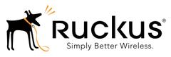 Ruckus Wireless Education customers only. One (1) year access to Cloudpath cloud-hosted software for 1 user, for networks with 10,000 or more total users (unlimited devices per user). Includes