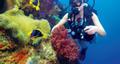 GOPRO Camera Lens Filter (ABDFR-301)