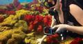 GOPRO Camera Lens Filter (ABDFR-301)