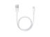 APPLE LIGHTNING TO USB CABLE (0.5 M) ML CABL