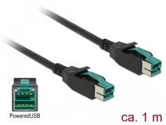 DELOCK PoweredUSB Kabel Stecker 12 V > PoweredUSB Stecker 12 V 1 m für POS Dr