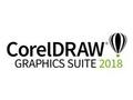 COREL CORELDRAW ESD Graphics Suite 2018 Upgrade (ML)