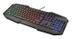 TRUST ND AVONN GXT830RW GAM KEYBOARD