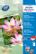 AVERY 2482-20 Photo paper A4 glossy inkjet 300g (20)