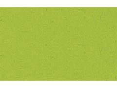 URSUS Plakatkartong URSUS 48x68 380g lys grønn