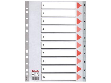 ESSELTE Register A4 1-10 grå plast (10) Esselte (100105)