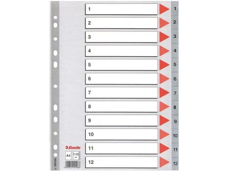 ESSELTE MAXI register A4+ med 12 tabs i farven grå (100125)