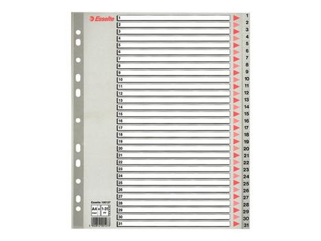 ESSELTE MAXI register A4+ med 31 tabs i farven grå (100127)