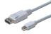 ASSMANN Electronic Cable DisplayPort 1.1a, mini DP - DP, M/M