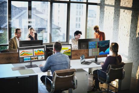 HP EliteDisplay E233 - LED-skjerm - Full HD (1080p) - 23" (1FH46AT#ABB)