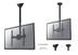 NEWSTAR NeoMounts Flat screen ceiling