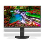 Sharp / NEC NEC MultiSync EA271F Black (60004304)