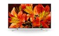 SONY FW-55BZ35F 55inch 4K HDR 620cd/m2 24/7 Edge LED Android 7 no TV tuner (FW-55BZ35F)
