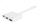 EQUIP Usb Type C To Mini 