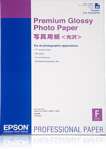 EPSON Paper/ Premium Glossy Photo A2 25sh (C13S042091)